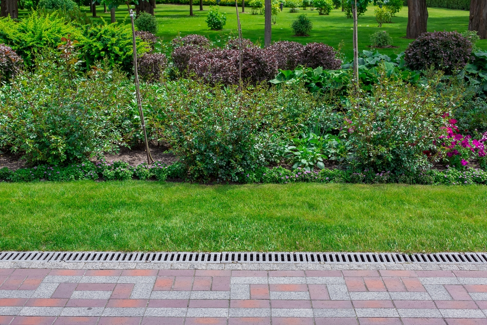 Yard Drainage Installed at a Backyard